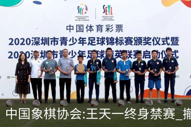 中国象棋协会:王天一终身禁赛 撤销特大等称号
